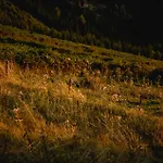 Nature Living Koralpe Chalet
