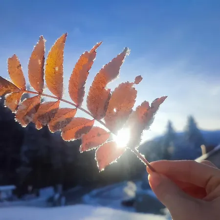 Chalet Nature Living Koralpe