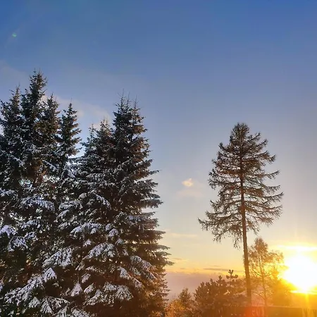 Nature Living Koralpe Chalet