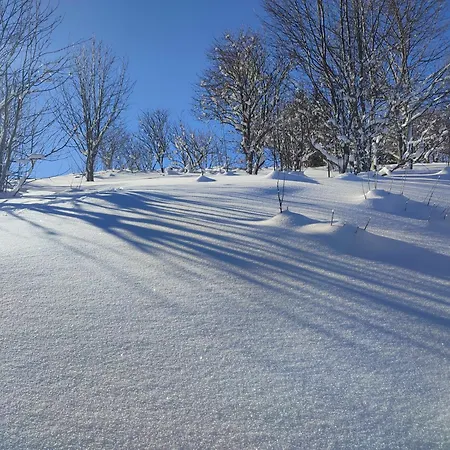 Chalet Nature Living Koralpe *