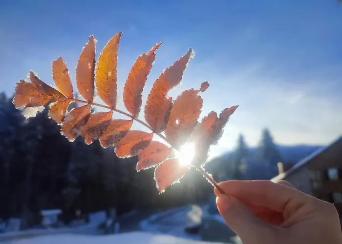 Chalet Nature Living Koralpe