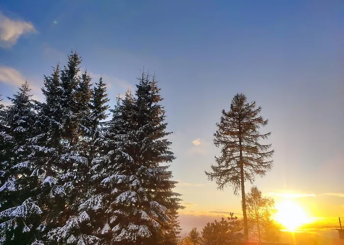 Nature Living Koralpe Chalet