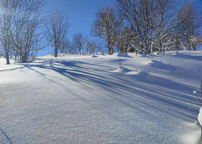 Chalet Nature Living Koralpe *