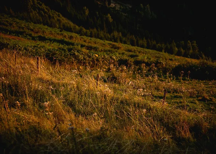 Nature Living Koralpe Chalet